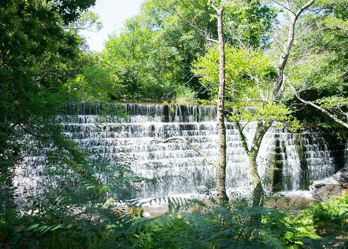 Ensan Ciprian Urb Con Playa Y Piscina アパート